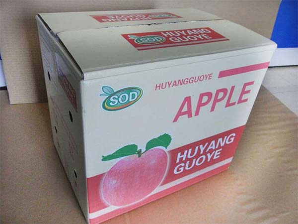 1611296182119572.jpg 5fe18f01a2ab8.jpg